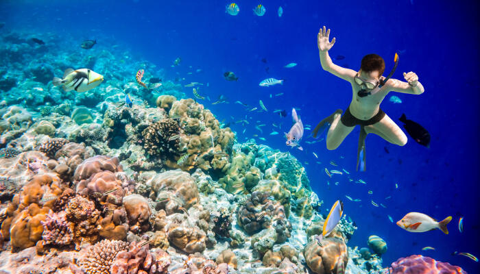 Snorkeling-In-Maldives-cover