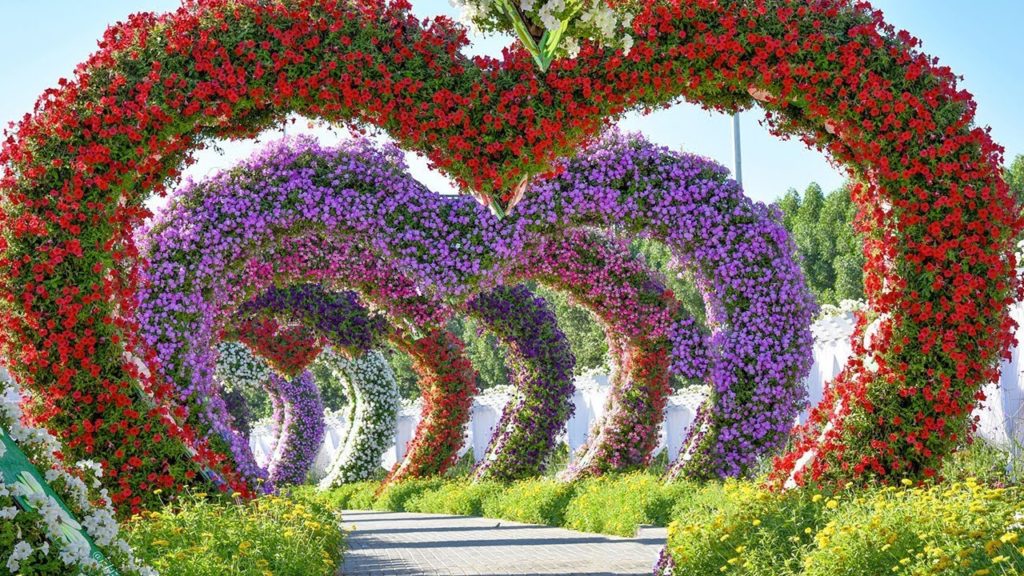 miraclegarden